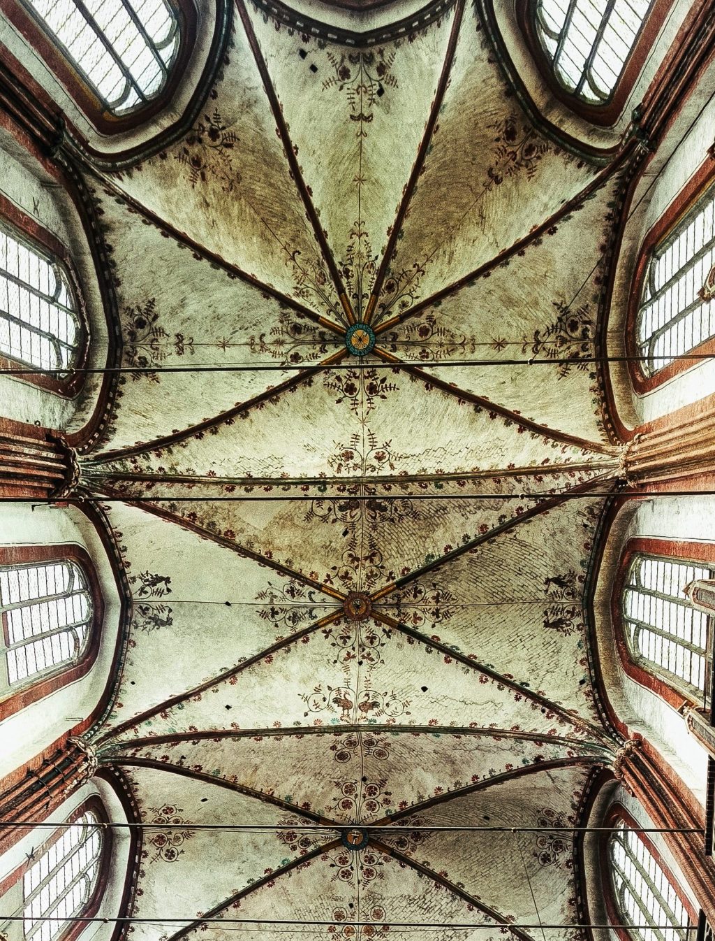 look up